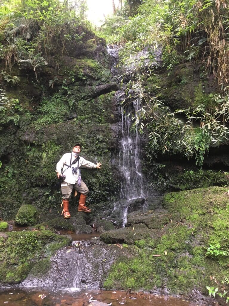 Marcos