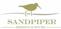 Sandpiper