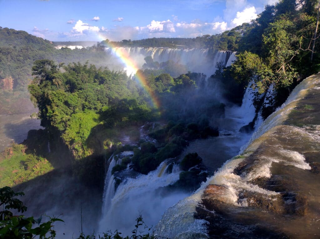Iguazu Falls birdwatching