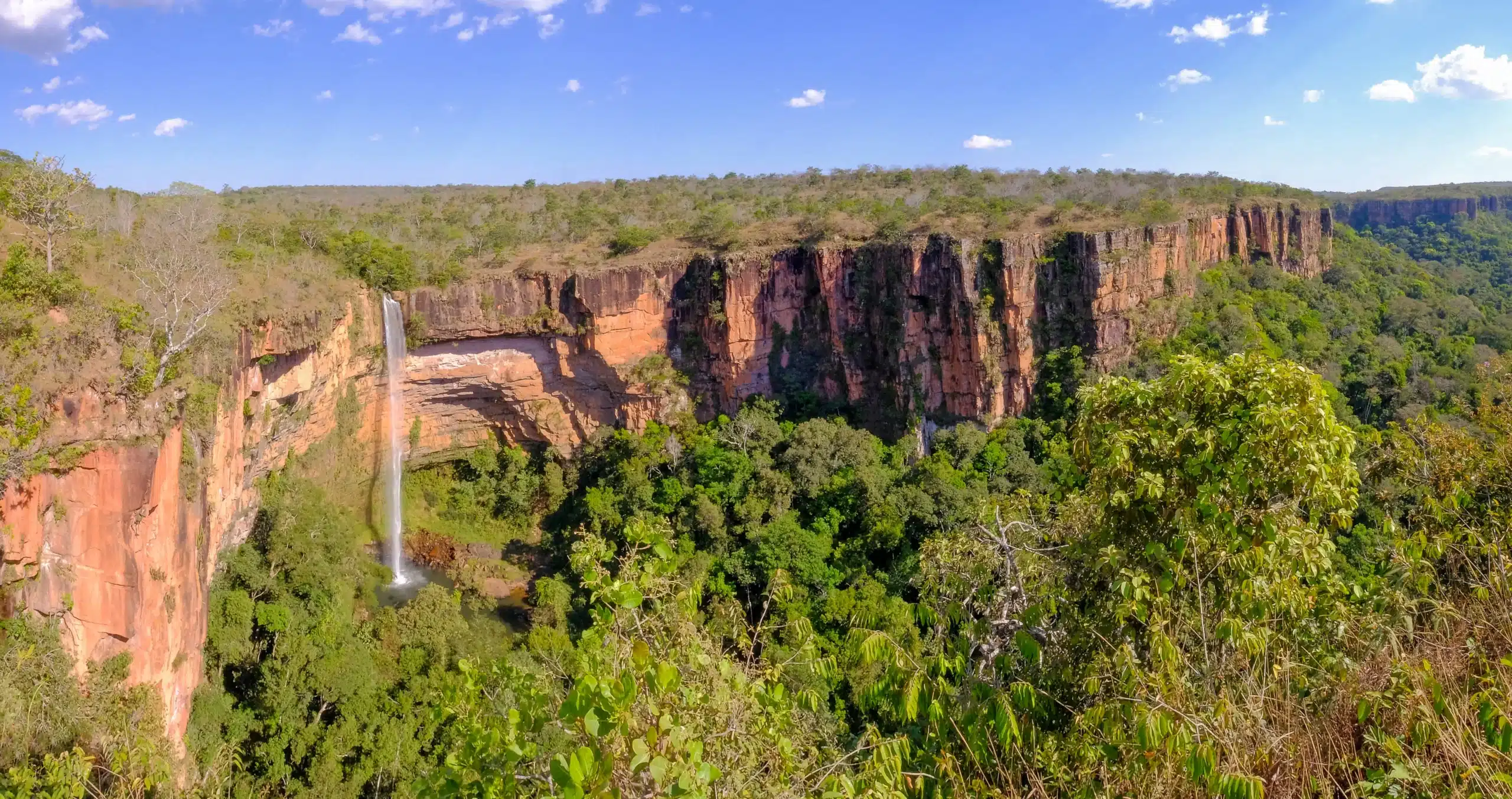 Brasil - Pantanal y Chapada dos Guimarães - Image 2