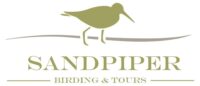 Sandpiper