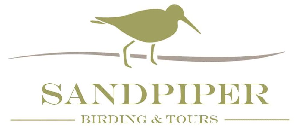Sandpiper Birding & Tours